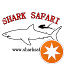 Shark Safari