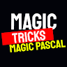 Photo du rédacteur: magic pascal