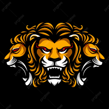 Aayush Simha