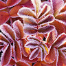 userThumbnail