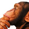 Image pertaining to ALEJANDRO MONASCAL