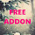 Aion FreeAddon