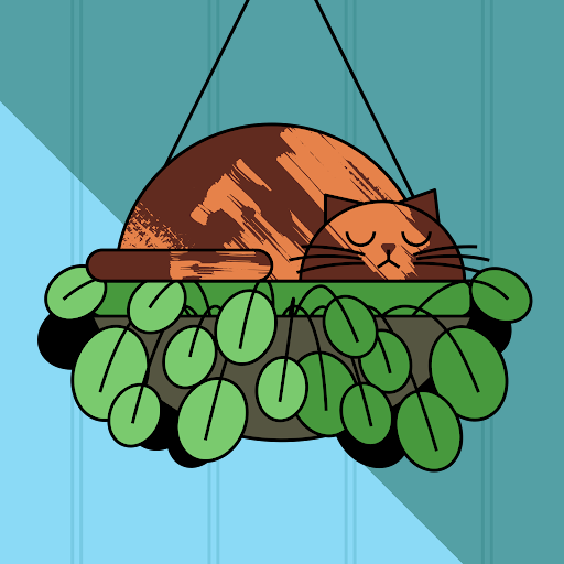Anis Ali kanchwala's avatar