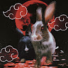 bunbuntop xd