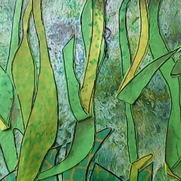 Clare Osmond