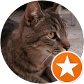 User profile - Alec Ching.