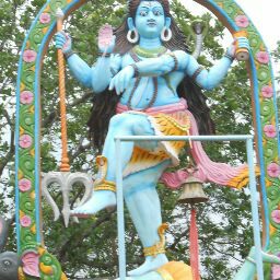 BABUL DASH