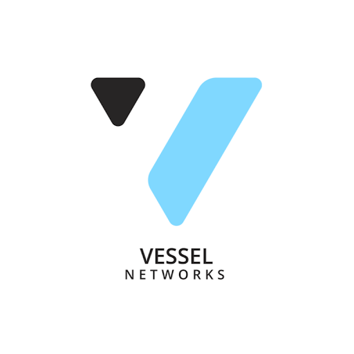 Image pertaining to VESSEL NETWORKS