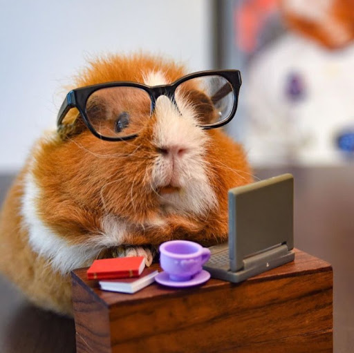 author