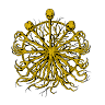 User 9975 avatar