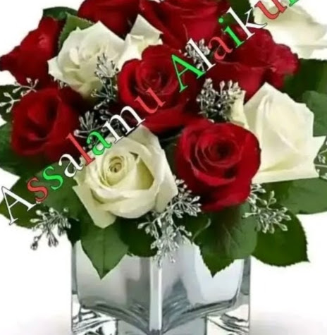 Aisha Abdul muththalif