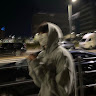謝翔宇 0