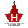 Photo du rédacteur: Comité Défense Hôpital Guingamp