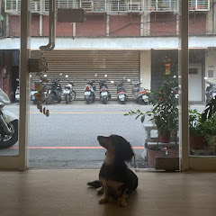 絲靺則