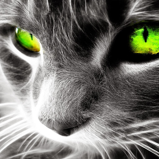 Tiga mi's avatar