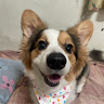 陳安 5