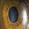 Franco Loera