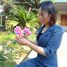 Created by