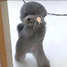 18林為宇