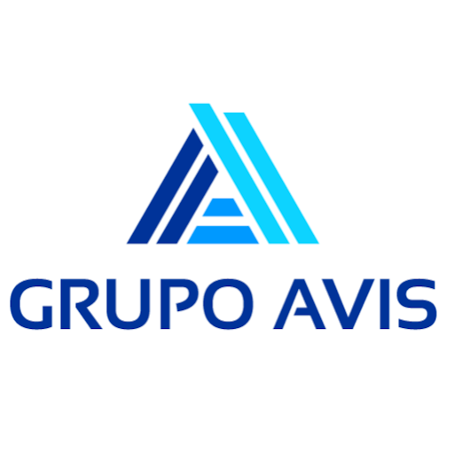 GRUPO AVIS REAL ESTATE