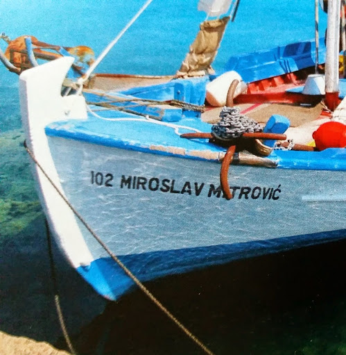 Miroslav Mitrovic