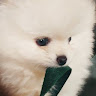 userThumbnail