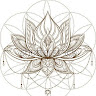 Image pertaining to SEBASTIAN FSV