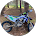 Just Enduro (justenduro33)