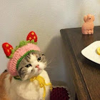 Kullanıcı: Valeria