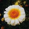user-avatar