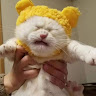 潘恩信