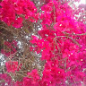 Foto do escritor: Selma Culturati Vasquez