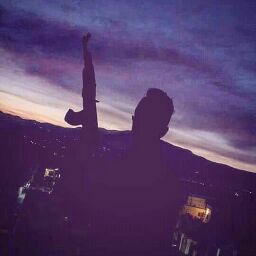 layal harb layal harb