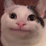 蔡宗翰 0