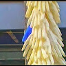 Foto del escritor: Aurora Noreña