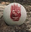 WilsonTheVolleyBall's user avatar