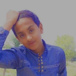 Awais Rajpoot