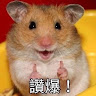 彭冠文