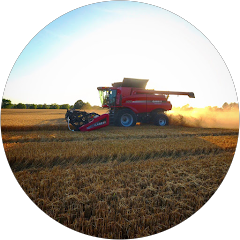 Southern Indiana Farmer Avatar