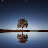 EdrawMax user profile image