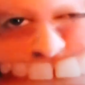 LilTomatoBuddy