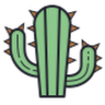 Image pertaining to CWS116 CACTUS
