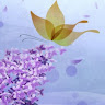 Image pertaining to SHIVON RAMACHALA