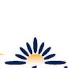 Writer: Greater Lee's Summit Healthcare Foundation