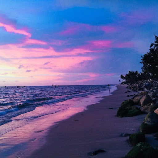 Ailiya Treesa Philips