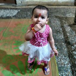 Mr Himanshu Prakash Rajput