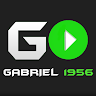 User Image: gabrielpalmeiras366