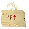 紙箱