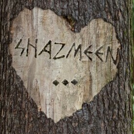 profile image of Shazmeen shaikh