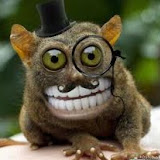 Utilizador: dhymas bayu